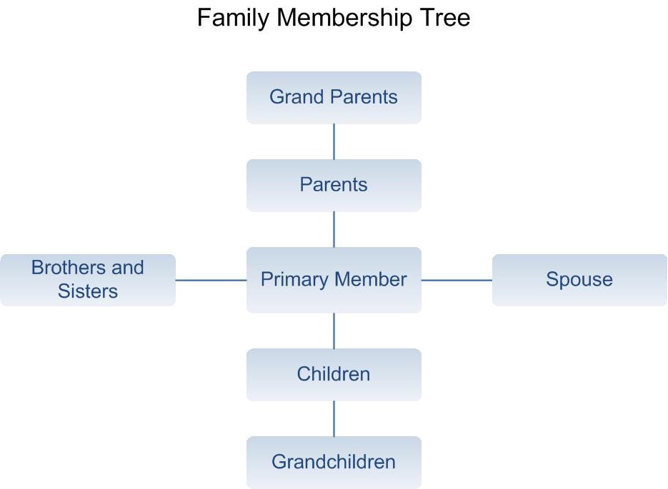 Example chart showing the eligible family members of the primary credit union member